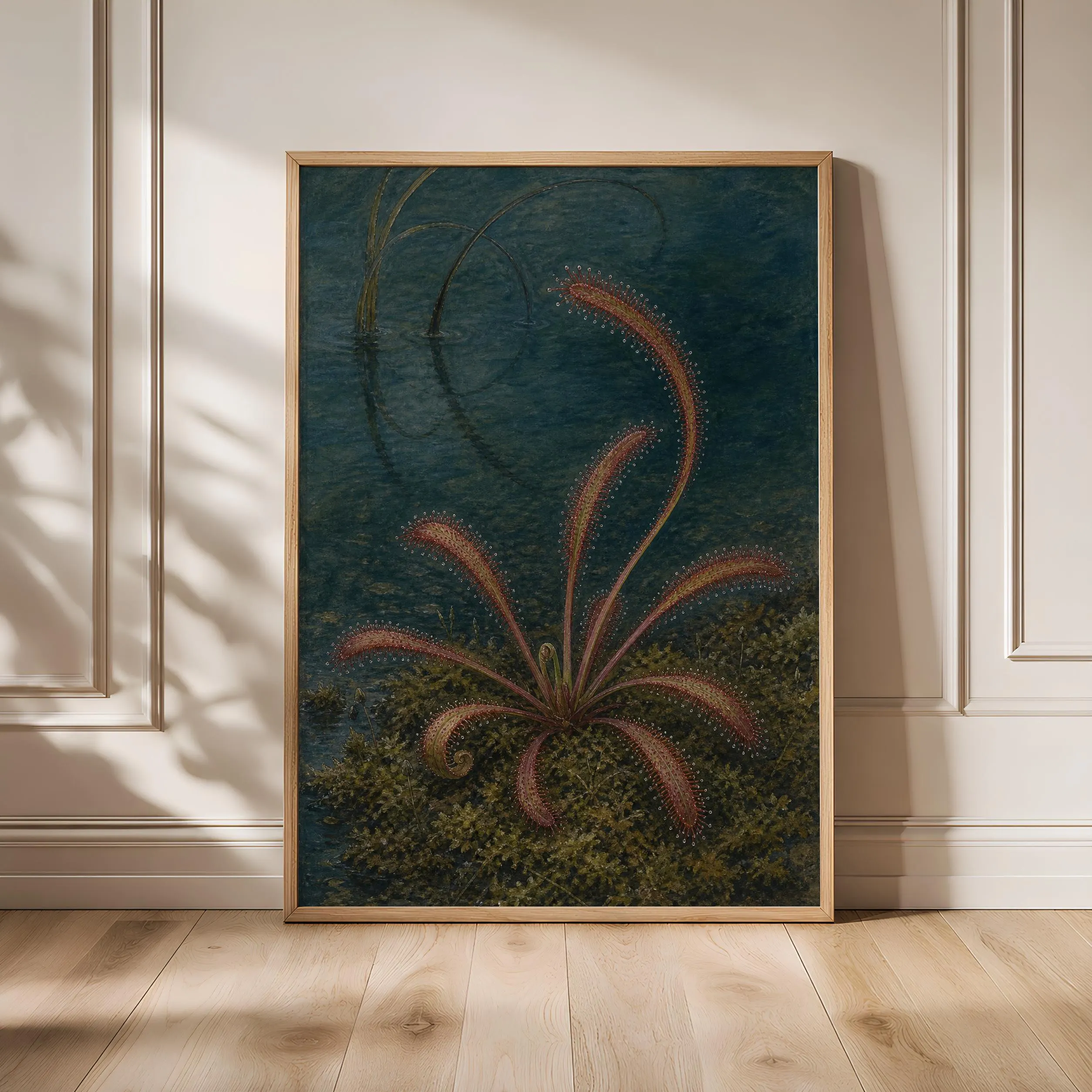 Sundew Botanical Print, Carnivorous Plant Wall Art, Vintage Bog Poster, Dark Academia Decor, Housewarming Gift – Calm Wall Art by Artsify - Image 1